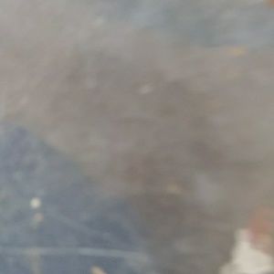 Meet your Posher, Briana